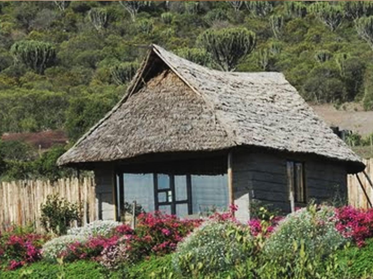 Rhino Watch Safarilodge Mweiga Habitación foto